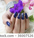 Beautifully manicured fingernails 36007526