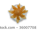 橙子切5 36007708