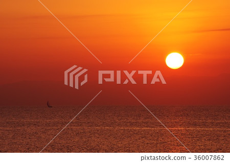 夕陽 夕陽 36007862