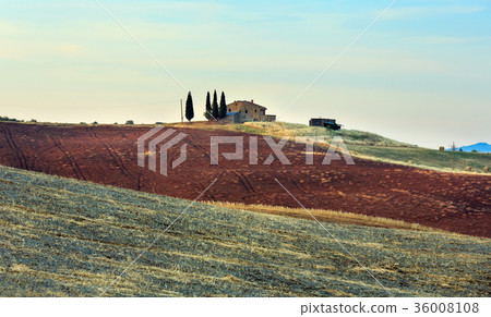 Tuscany sunrise countryside, Italy Tuscany sunrise countryside, Italy 36008108