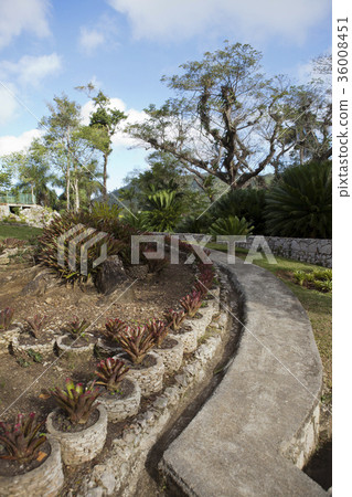 Soroa Orchid Botanical Garden, Pinar del Rio, Cuba 36008451