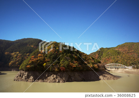Autumn leaves scenery Nara 36008625