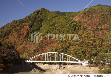 Autumn leaves scenery Nara 36008626