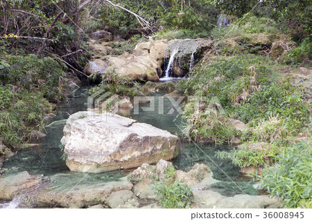 The river in park Soroa. Cuba. The river in park Soroa. Cuba. 36008945