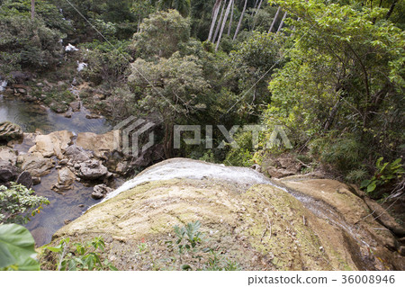 The river in park Soroa. Cuba. 36008946