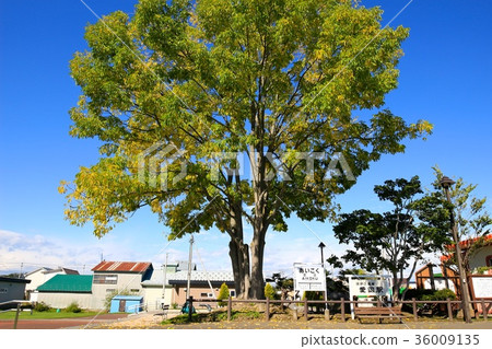 Autumn season, Patriotic station. Autumn season, Patriotic station. 36009135