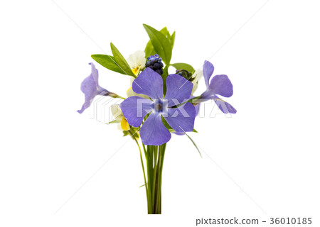 spring bouquet of flowers 36010185