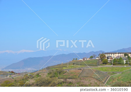 Katsunuma Grape Town and Southern Alps in Spring 36010590