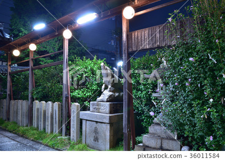 針灸和艾灸在夜晚 針灸和艾灸在夜晚 36011584