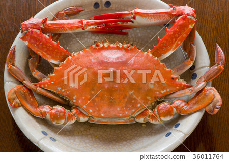 Boiled crayfish Boiled crayfish 36011764