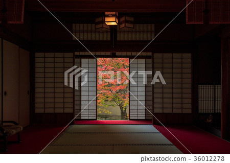 Autumn leaves of a cloudless temple Autumn leaves of a cloudless temple 36012278