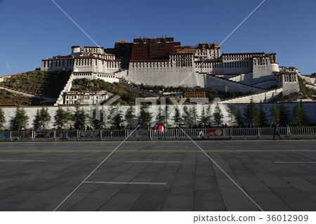 布達拉宮在早上。 2016年9月23日 36012909