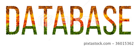 word Database written with leaves white isolated word Database written with leaves white isolated 36015362