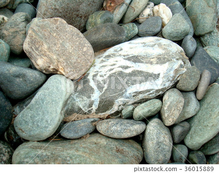 Gray dry pebbles lie scattered on the shore Gray dry pebbles lie scattered on the shore 36015889