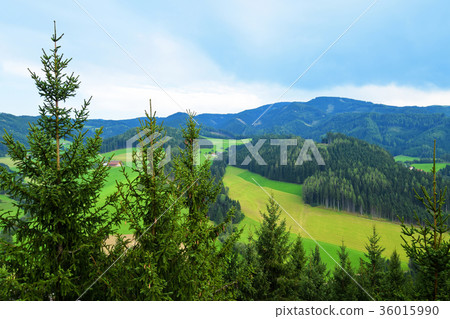 View from Skywalk in Wipfelwanderweg Rachau View from Skywalk in Wipfelwanderweg Rachau 36015990