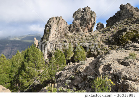 Hiking in Nublo Rural Park in Gran Canaria 36015995