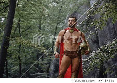 Spartan warrior in the woods Spartan warrior in the woods 36016145