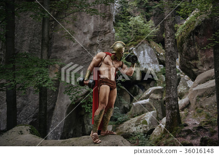 Spartan warrior in the woods Spartan warrior in the woods 36016148