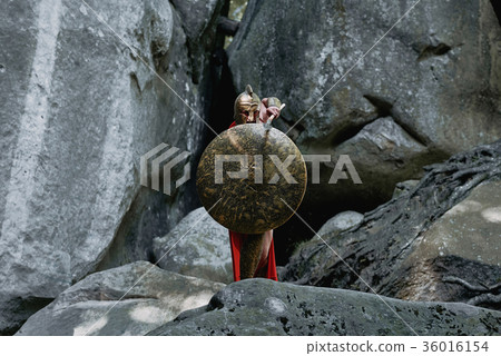 Spartan warrior in the woods 36016154