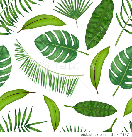 Realistic Detailed Green Leaves of Plants Realistic Detailed Green Leaves of Plants 36017387