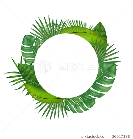 Realistic Detailed Green Leaves of Plants. Vector Realistic Detailed Green Leaves of Plants. Vector 36017388