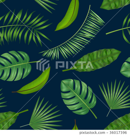 Realistic Detailed Green Leaves of Plants Realistic Detailed Green Leaves of Plants 36017396