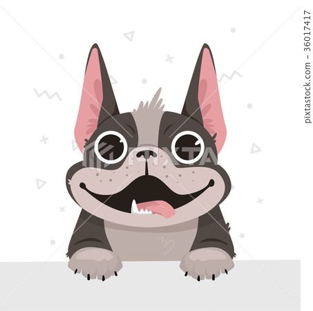 Illustration of a French bulldog in a flat style Illustration of a French bulldog in a flat style 36017417