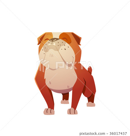 English Bulldog Dog Character. 36017437