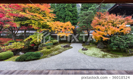 Senggai寺在秋天 36018524