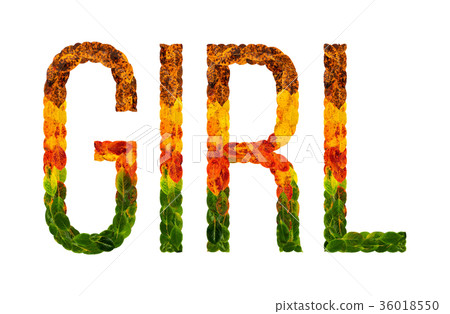 word girlwritten with leaves white isolated 36018550