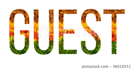 word guest written with leaves white isolated 36018551