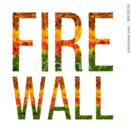 word fire wall written with leaves white isolated 36018556