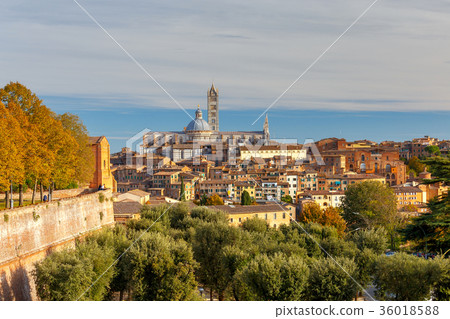 Siena. View of the old city district. 36018588