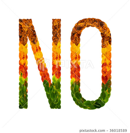 word no written with leaves white isolated word no written with leaves white isolated 36018589