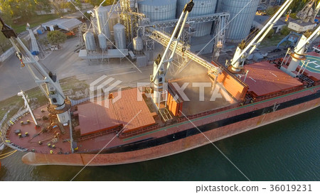 Aerial view of big grain elevators on the sea Aerial view of big grain elevators on the sea 36019231