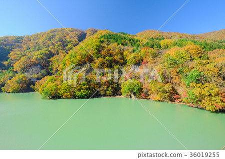 Autumn Sonodamu lake Autumn Sonodamu lake 36019255
