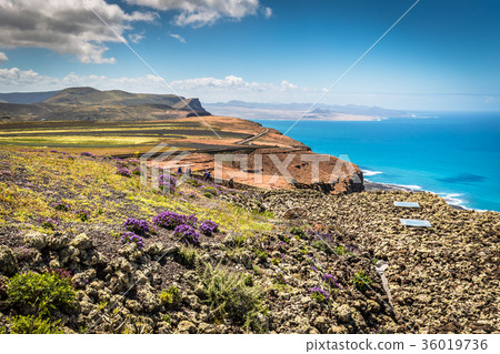 The coast of Atlantic ocean near town Orzola The coast of Atlantic ocean near town Orzola 36019736