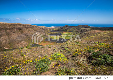 field in rural area with blue sky near Haria field in rural area with blue sky near Haria 36019738