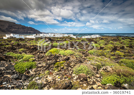 The coast of Atlantic ocean near town Orzola The coast of Atlantic ocean near town Orzola 36019741