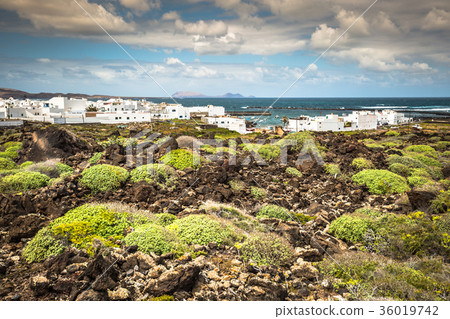 The coast of Atlantic ocean near town Orzola The coast of Atlantic ocean near town Orzola 36019742
