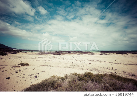 The coast of Atlantic ocean near town Orzola  36019744