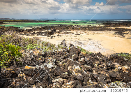 The coast of Atlantic ocean near town Orzola  36019745
