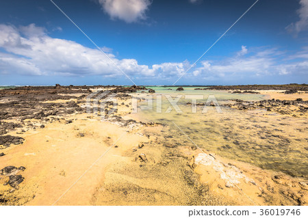The coast of Atlantic ocean near town Orzola The coast of Atlantic ocean near town Orzola 36019746