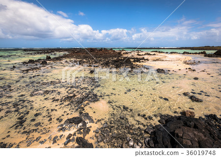 The coast of Atlantic ocean near town Orzola The coast of Atlantic ocean near town Orzola 36019748