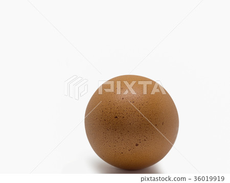 Egg chicken , healthy food. Egg chicken , healthy food. 36019919