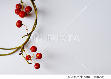 Sankirai乾爽生動 Sankirai乾爽生動 36020308