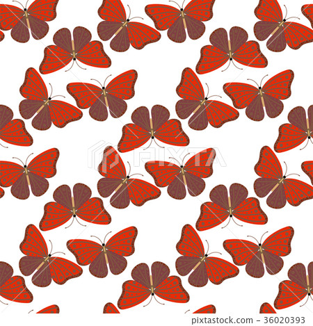 Colorful butterflies with abstract decorative Colorful butterflies with abstract decorative 36020393