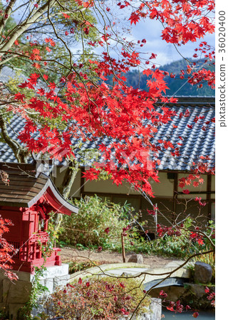 Oku Tamba Daikokuji寺 Oku Tamba Daikokuji寺 36020400