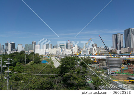 城市景觀東京晴海旗幟2020東京奧運村建築工地2017年9月9日 36020558