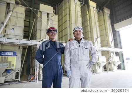 Rice farmer 36020574